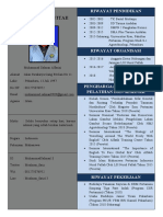 CV M.salman Alfarizi