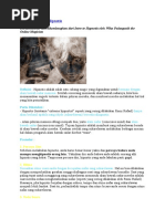 Download CaraMelakukanHipnotisbyAliefGalihMahatmaSN49448016 doc pdf