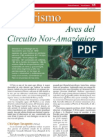 Aves Del Circuito Nor Amazonico