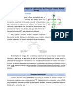 Tema 3 - Biologia PDF