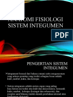 ANATOMI_FISIOLOGI_SISTEM_INTEGUMEN-1-1