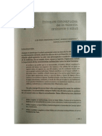 Enfoques Conceptuales de La Relación Ambiente y Salud