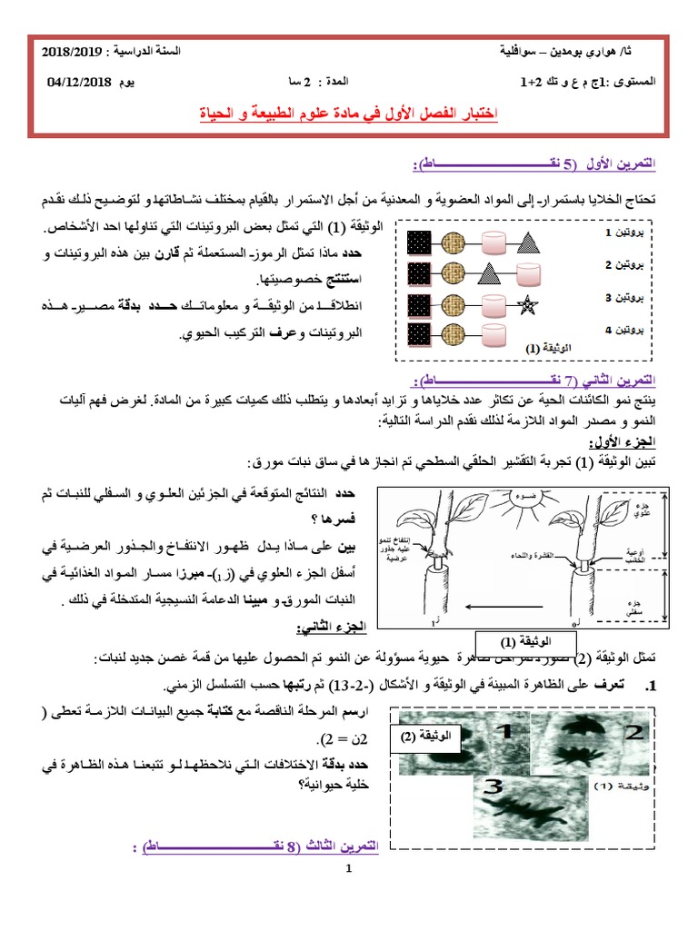 اختبار الفصل الأول في مادة العلوم الطبيعية 2019 2019