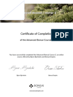 Certificate Advanced 2