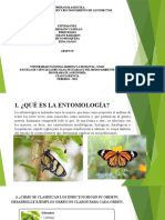 EntomologiaAgricola Grupo39