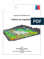 Tema Indices de Vegetación, Pedro Muñoz A