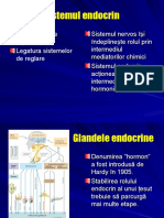 Sistemul Endocrin Slide 2008