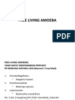 Free Living Amoeba