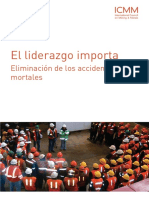 ICMM El Liderazgo Importa