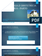 Slides - Parto