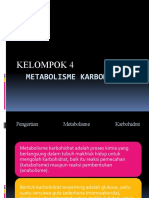 Metabolisme Karbohidrat Kel 4