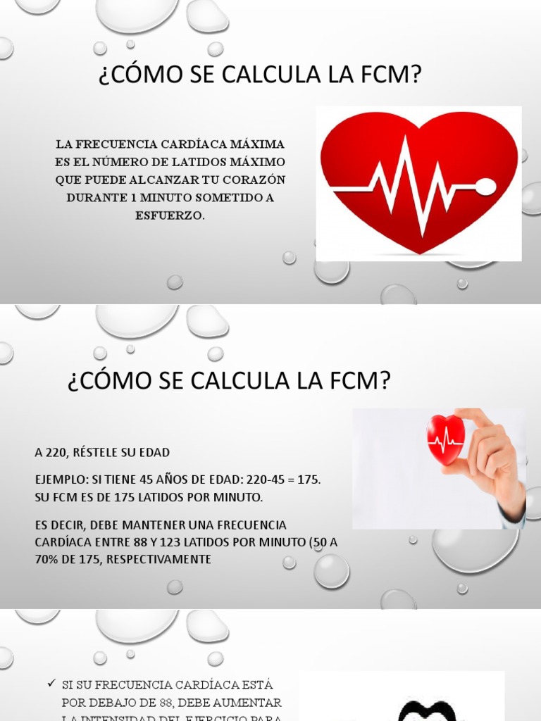 Cómo Se Calcula La FCM | PDF