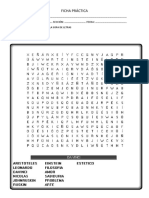 Ficha Práctica Sopa de Letras Sobre Pensadores