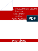 Aula 7 - Proteinas,Carboidratos,Lipideos, Nucelotideos
