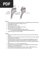 Dorsal Slit Circumcision Procedure Guide | PDF | Surgical Suture | Surgery