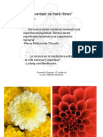 Taller Geometria Sagrada - El Codigo de La Vida - 2020 Impresion