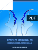 Perfiles Criminales