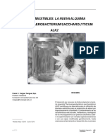 10121989_10 Biocombustibles