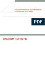 Patofisiologi Peradangan Pada Sisten Urinary Dan Askep Pada Anak