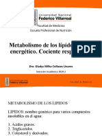 Metabolismo de Lípidos