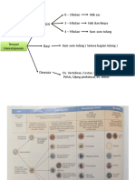 Hematologi PBL 1