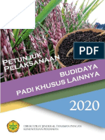 Juklak Padi Khusus Lainnya 2020