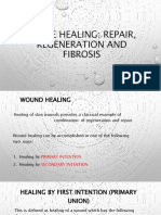 Tissue Healing: Repair, Regeneration and Fibrosis