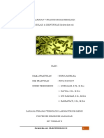 Escherichia Coli - Nurul Muhlisa