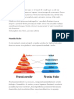 C3 - Segmentarea de Piață