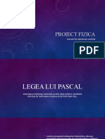 Proiect Fizica