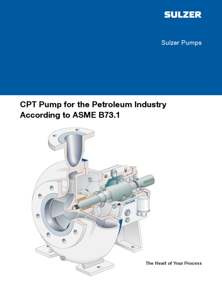 CPT Pump For The Petroleum Industry According To ASME B73.1 Sulzer