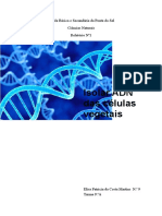 Relatório extração do ADN