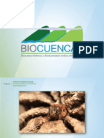 Ppt Biocuencas Abejas Esanchez