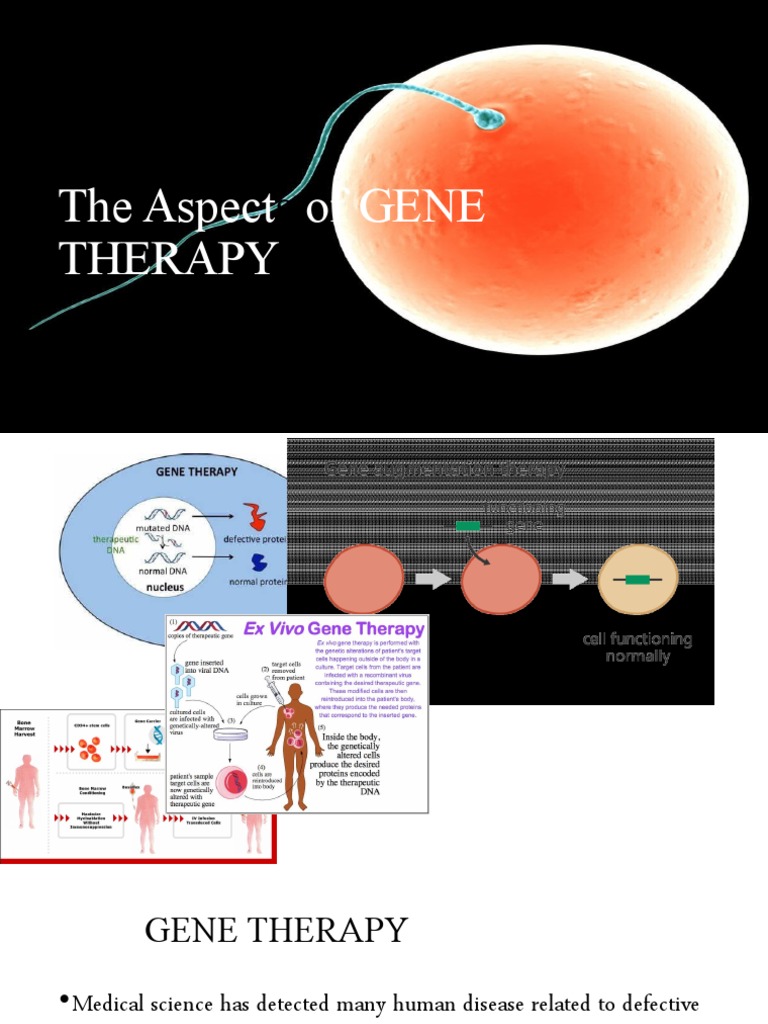 Bioethics and Aspects of Gene Therapy | PDF | Gene Therapy | Stem Cell