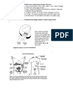 Materi Tutorial Urologi