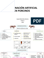 Inseminación Artificial en Porcinos