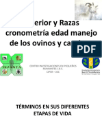 Exterior y Razas Cronometría Edad Manejo de Los Ovinos y Caprinos