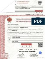 Certificado Habilidad 4298