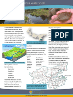Murray River Fact Sheet
