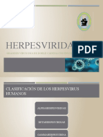 Exposicion de Herpesvirus Presentacion