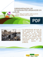 Fitorremediacion de Contaminantes Organicos en Suelos