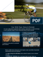 CORP MOBIL REPER SISTEM DE REFERINTA