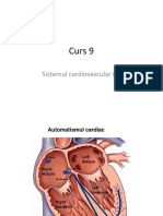 Curs 9 PDF.pdf Slide-ri Inima