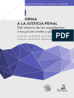 Reforma a La Justicia Penal