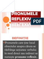Pro Numele Reflex IV