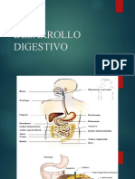 Digestivo Desarrollo