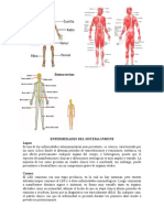 Enfermedades Del Sistema Inmune