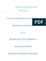 Fabian Antonio Fernandez Fernandez_8° A_Integrales definidas e indefinidas
