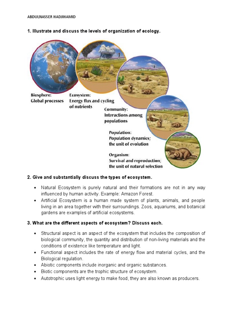 Understanding Artificial Ecosystems | PDF | Food Web | Ecosystem