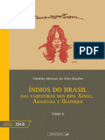 Indios Brasil v.2